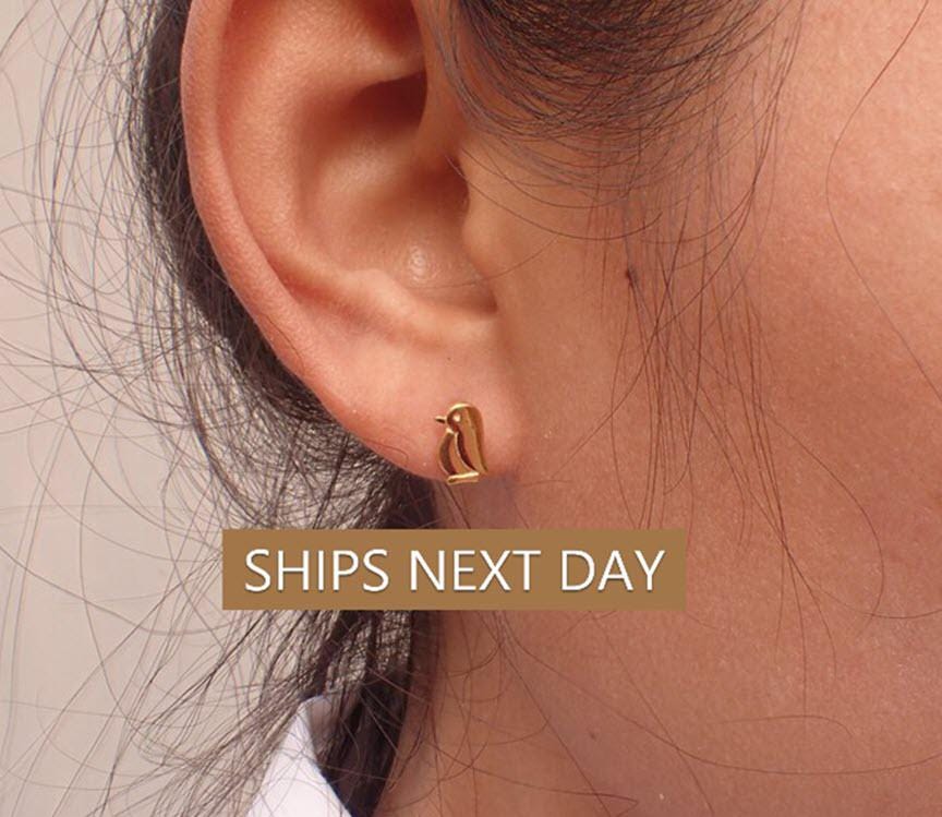 Penguin Stud Earrings, Penguin Earring Gifts for Her, Tiny Penguin Stud Earring Gifts, Earrings for Women