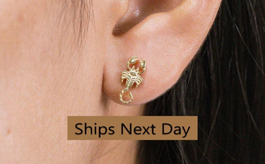 Scorpion Stud Earrings, Scorpion Studs, Animal Earring For Women, Dainty Stud Earring, Insect Jewelry, Gift for her