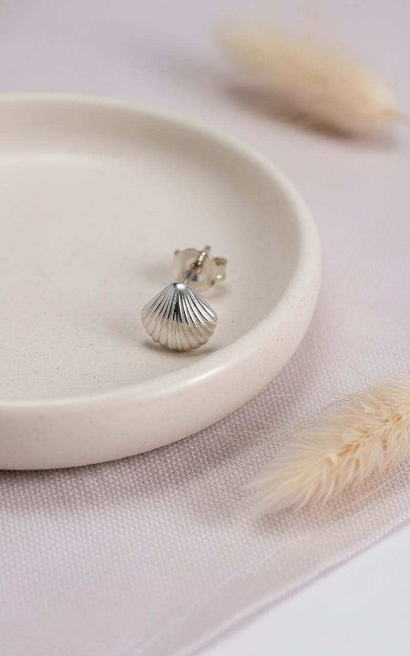 Shell Stud Earrings, Sea Shell Stud Earrings, Ocean Stud Earrings, Tiny Shell Earrings for Women, Valentine's Day Gift