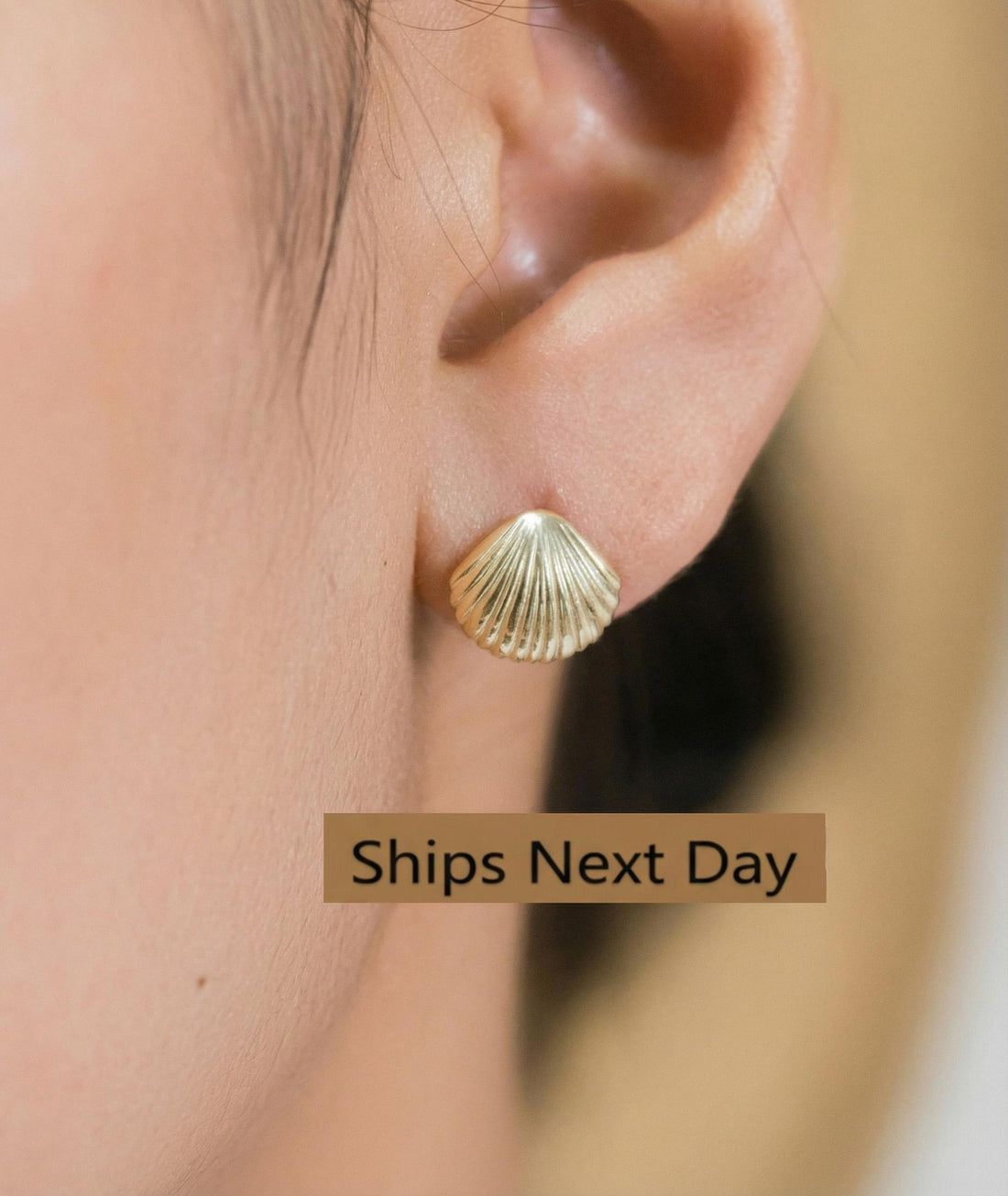 Shell Stud Earrings, Sea Shell Stud Earrings, Ocean Stud Earrings, Tiny Shell Earrings for Women, Valentine's Day Gift