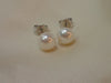 Freshwater Pearl Earrings / Pearl Stud Earrings / Gold Plated Silver Earrings / Bridal Gifts for Her / 4.7mm Pearl Earrings