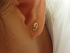Seahorse Earrings, Stud Post Earrings, 14k Solid Gold Sea Themed Earrings, Lovely Seahorse Earrings, Earring Gift for her