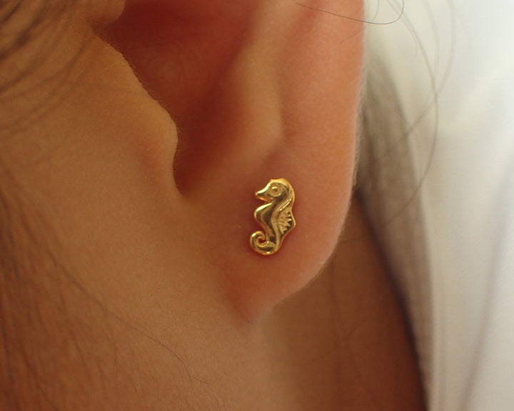 Seahorse Earrings, Stud Post Earrings, 14k Solid Gold Sea Themed Earrings, Lovely Seahorse Earrings, Earring Gift for her